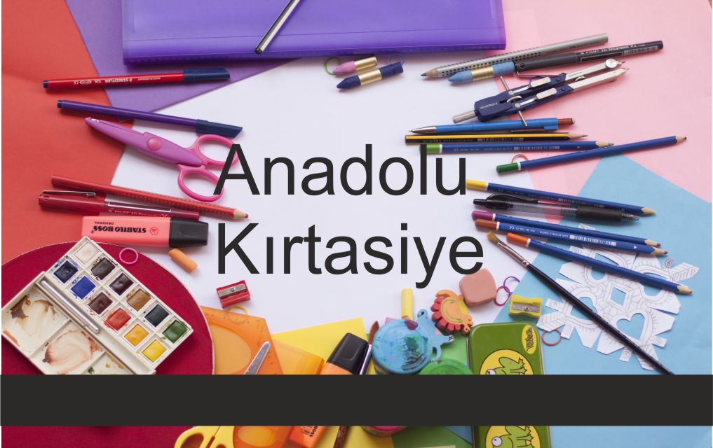 Manyetik bantlı kart Manyetik bantlı kart